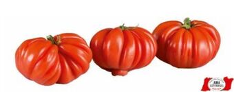 Transgourmet Tomaten Angebot
