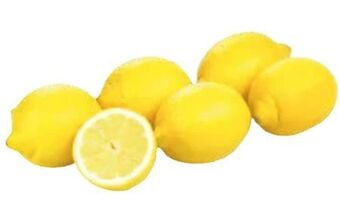 Transgourmet Bio Zitronen Angebot