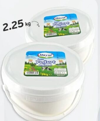 ETSAN Joghurt Angebot