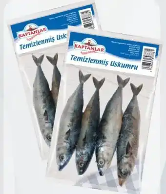 ETSAN Makrele Angebot