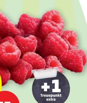 PENNY Himbeeren Angebot