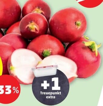 PENNY Snack Radieschen Angebot