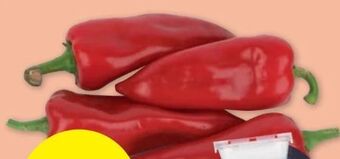 PENNY Spitzpaprika Angebot