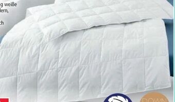 Norma Luxus Sommer Daunendecke Angebot
