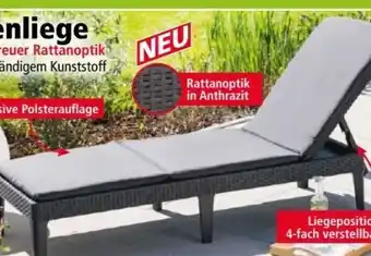 Norma Gartenliege Angebot