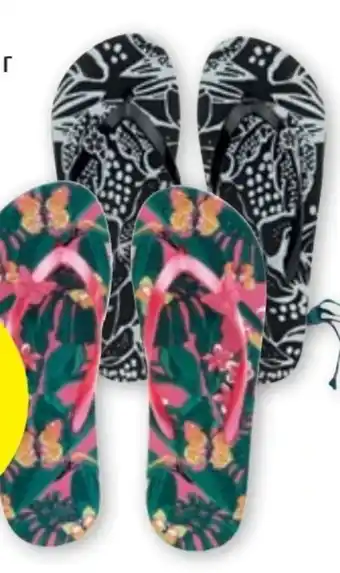 PENNY Damen Flip Flops Angebot