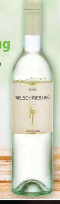 Norma Welschriesling Angebot