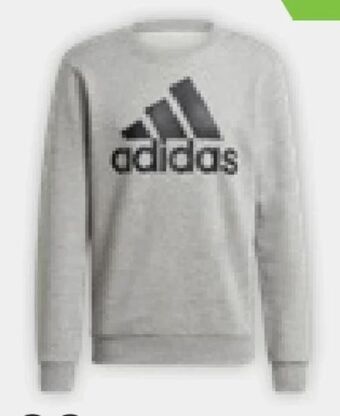XXL Sports Herren Essential Sweatshirt Angebot