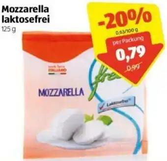 Hofer Mozzarella Laktosefrei 125 g Angebot