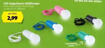 Hofer Led Zugschnurr Glühlampe Angebot