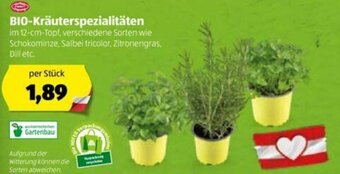 Hofer Bio Kräuterspezialitäten Angebot