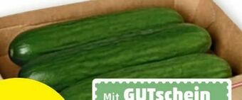 PENNY Midi Gurken Angebot