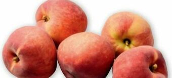 PENNY Pfirsiche Angebot