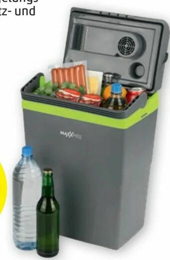 PENNY Elektrische Kühlbox Angebot