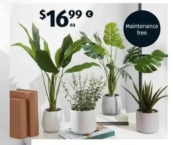 ALDI Decorative Faux Plant offer