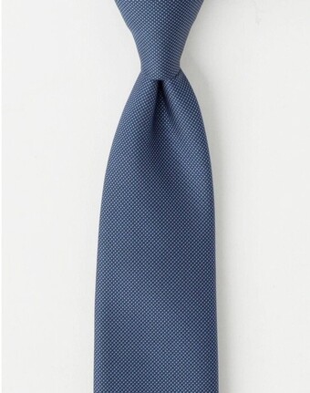 Van Heusen Tie
