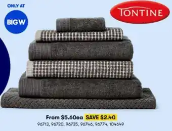 BIG W Tontine 96713,96720,96735,96746,96774,104649 offer