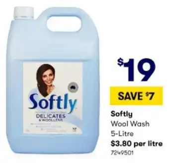 BIG W Softly Wool Wash 5-Litre 7249501 offer