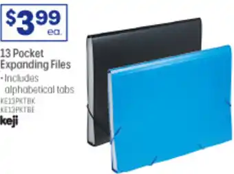 13 Pocket Expanding Files