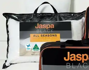 Spotlight Jaspa All Seasons Pillow offer