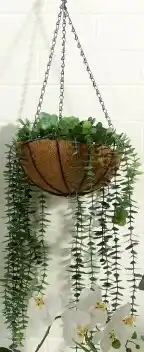 Spotlight 30% off Hanging Eucalyptus Bowl 29x101cm offer