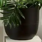 Spotlight 30% off Fern Planter Pot 25.5x28cm offer