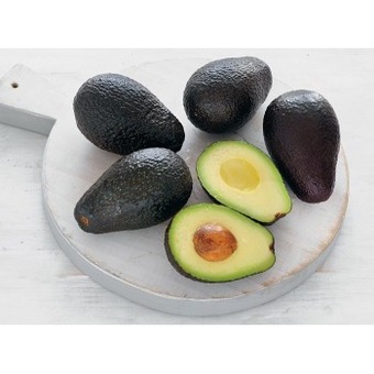 Australian Hass Avocado