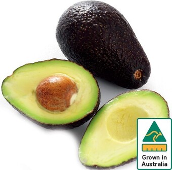 Australian Hass Avocado