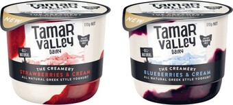Coles Tamar Valley Creamery Yoghurt 170g offer