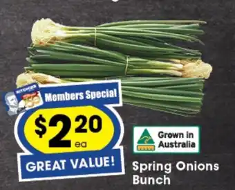 Ritchies Spring Onion Bunch offer