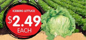Spudshed Iceberg Lettuce offer