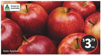 Foodworks Gala Apples offer