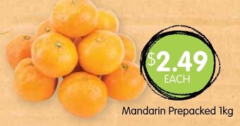 Spudshed Mandarins Prepacked 1kg offer