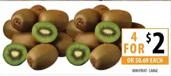 Kiwi Fruit - Large