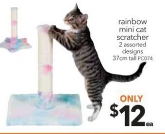 Cheap as Chips Rainbow mini Cat Scratcher offer