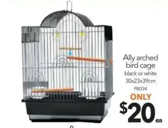 Ally Arched Bird Cage