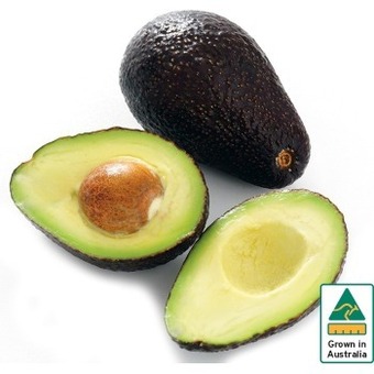 Australian Hass Avocado