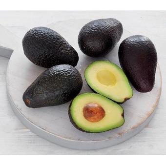 Australian Hass Avocado