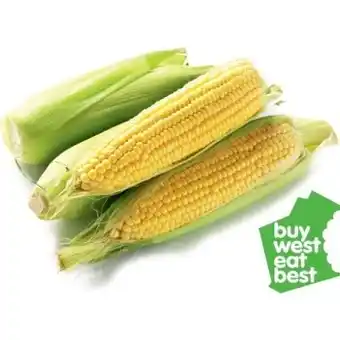 Sweet Corn Cobs