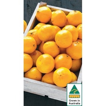 IGA Australian Mandarins offer