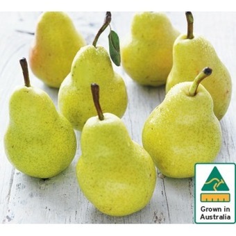 Australian Green Pears