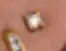 0.22 Carat Of Diamonds & 10kt Gold Earrings