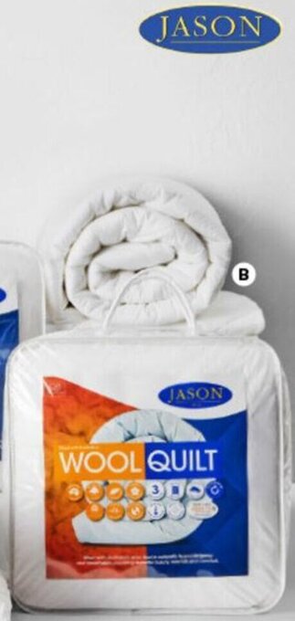 BIG W Jason Wool Quilt 928295 offer