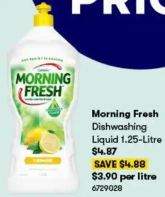 BIG W Morning Fresh Dishwashing Liquid 6729028 offer