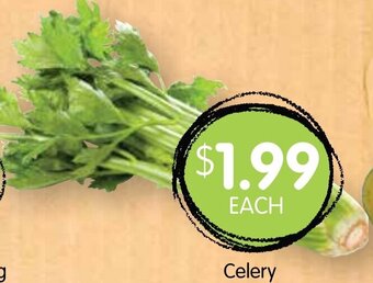 Spudshed Celery offer