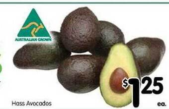 Hass Avocados