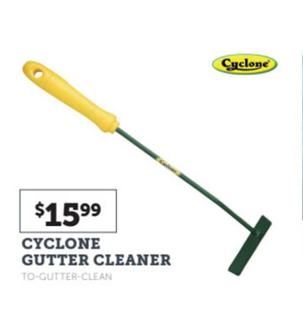 Cyclone gutter cleaner