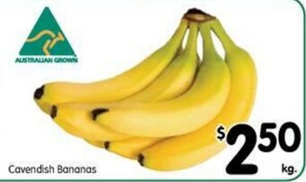Cavendish bananas
