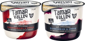 Coles Tamar Valley Creamery Yoghurt 170g offer