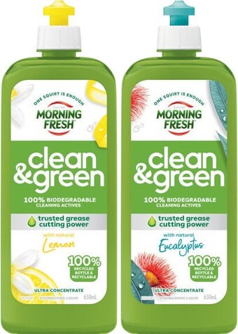 Coles Morning Fresh Clean & Green Dishwashing Liquid 650mL offer